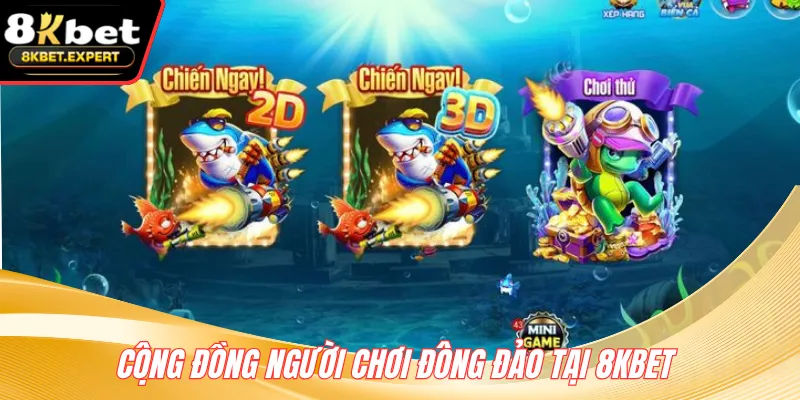 Cộng đồng người chơi đông đảo tại 8KBET