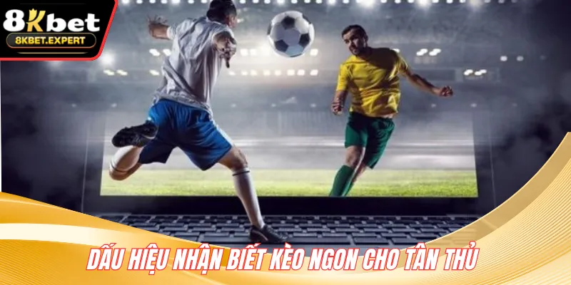Dấu hiệu nhận biết kèo ngon cho tân thủ