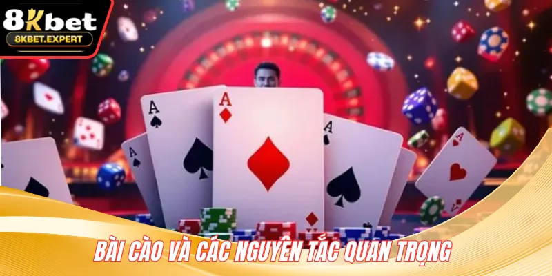 Bài Cào và các nguyên tắc quan trọng 