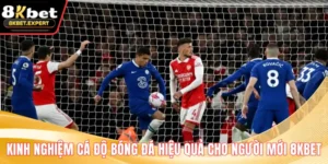 Kinh Nghiệm Cá Độ Bóng Đá Hiệu Quả Cho Người Mới 8KBET