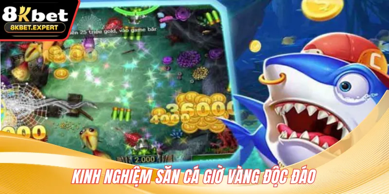 Kinh nghiệm săn cá giờ vàng độc đáo