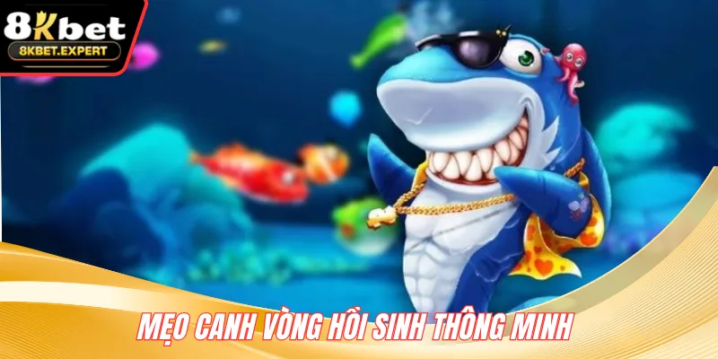 Mẹo canh vòng hồi sinh thông minh