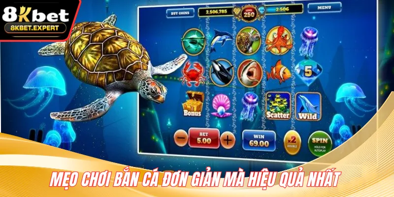 Mẹo chơi bắn cá đơn giản mà hiệu quả nhất