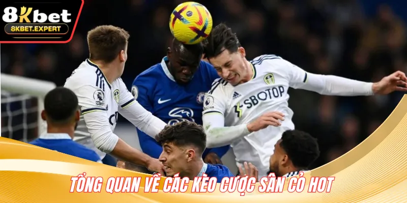 Tổng quan về các kèo cược sân cỏ hot