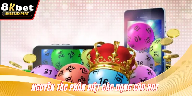 Nguyên tắc phân biệt các dạng cầu hot
