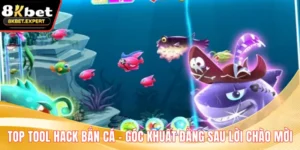 Top Tool Hack Bắn Cá – Góc Khuất Đằng Sau Lời Chào Mời
